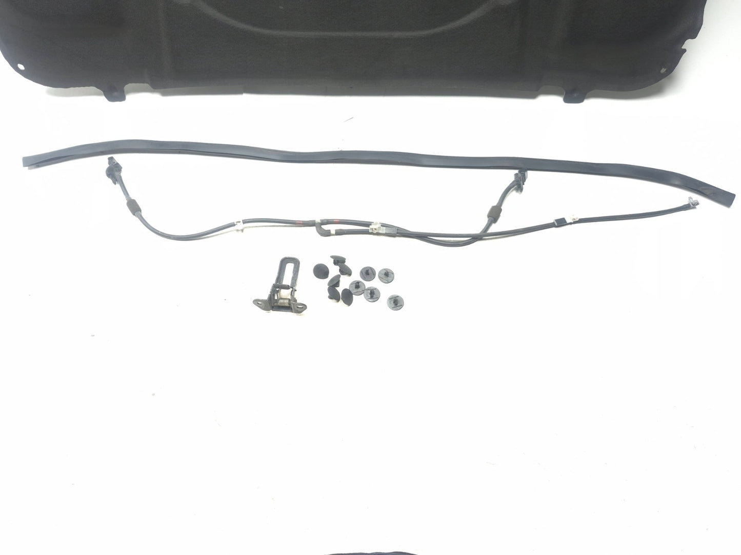 2009 Lexus IS250 Hood Insulator Pad & Wiper Nozzle OEM