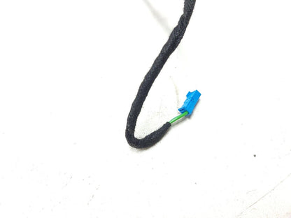 2007 - 2013 BMW X5 E70 Door Wire Harness Rear Driver Side Left OEM