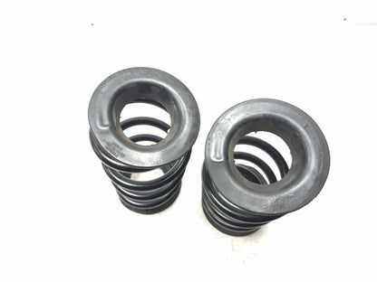 2020 Tesla Model 3 Rear Suspension Coil Spring Left & Right OEM