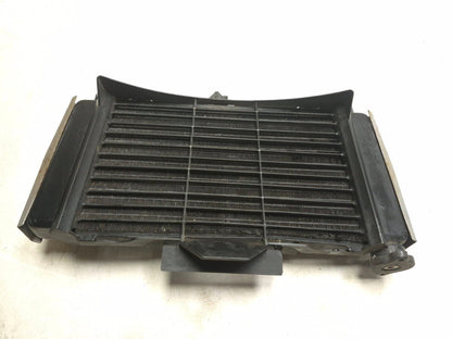 2004 Yamaha Fz6 S Cooling Radiator OEM