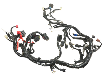 2025 Yamaha Yzf R3 Main Wire Harness OEM