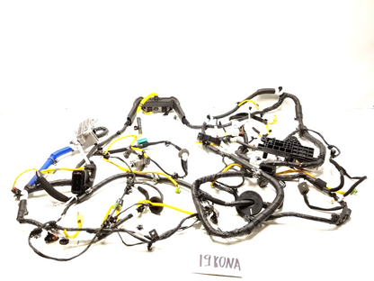 2019 Hyundai Kona Interior Floor Wire Harness OEM 29k Miles