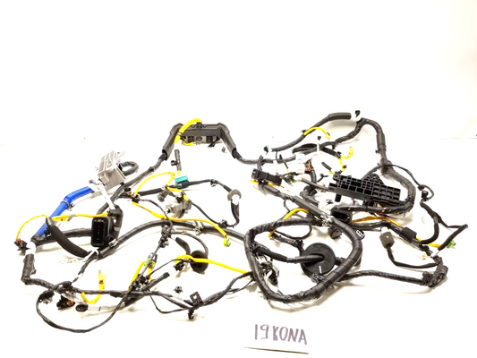 2019 Hyundai Kona Interior Floor Wire Harness OEM 29k Miles