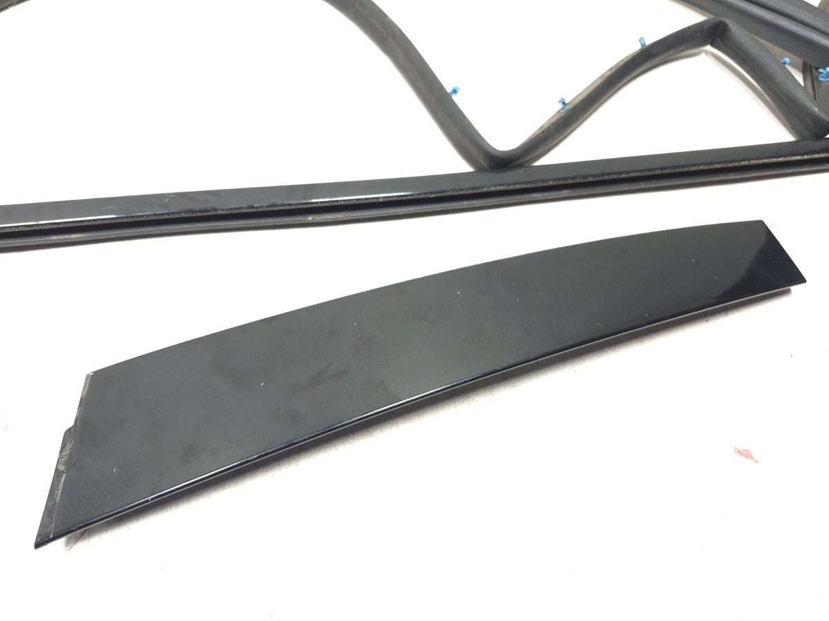 2004-2008 Acura Tl Front Door Weatherstrip Seal & Belt Passenger Side Right OEM