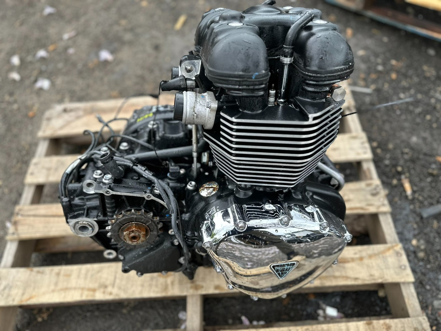 2014 Triumph America Engine Motor OEM 5,083 Miles