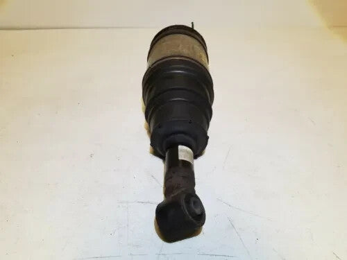 2009 Range Rover Sport Rear Suspension Strut Left Driver Side OEM
