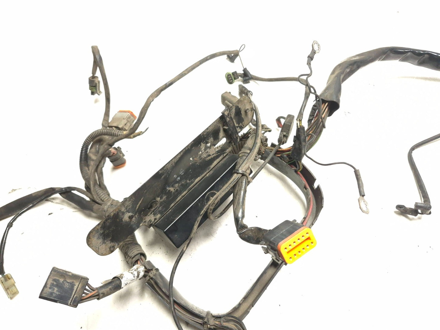 2004 Harley Softail Flstc Heritage Classic Main Wire Harness OEM