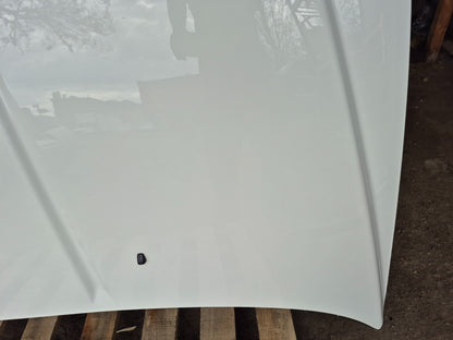 2017 Dodge Journey Hood Bonnet OEM