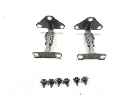2007 - 2013 BMW X5 E70 Lower Tailgate Trunk Hinge Left & Right OEM