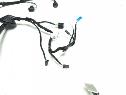 2021 Tesla Model 3 Rear Door Wiring Harness Driver Side Left 2067965-00-b OEM