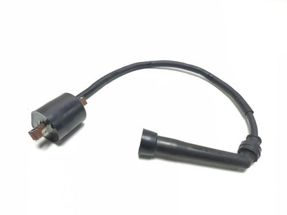 2013 Suzuki Vl800 Boulevard C50 Ignition Coil Pair OEM