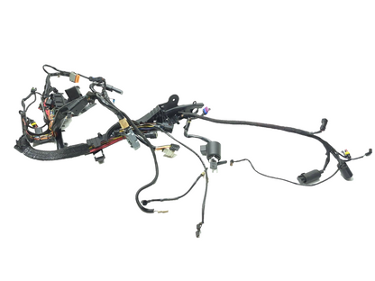 2009 Harley Sportster 883 1200 Xl Main Wire Harness 70162-09 OEM