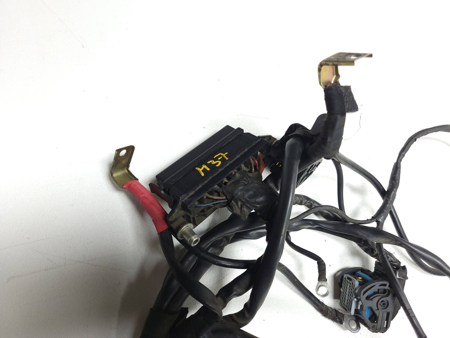 2005 Ducati Monster M600 620 Main Wire Harness OEM