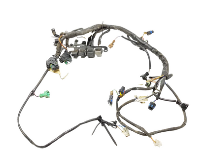 2002 Aprilia Rst 1000 Futura Front & Rear Main Engine Wiring Harness OEM