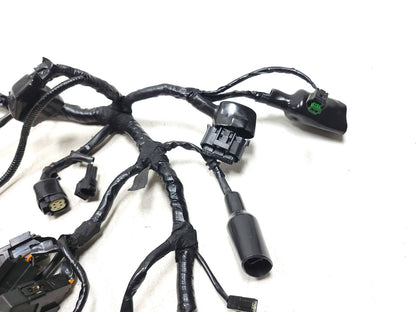 2024 Royal Enfield Bullet 350 Main Wire Harness  OEM