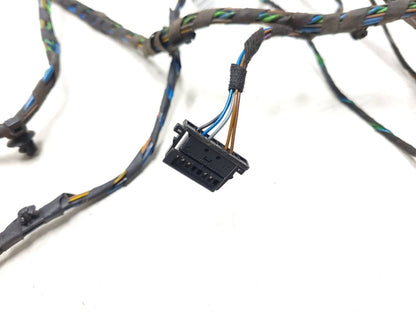 2007 - 2013 BMW X5 E70 Door Wire Harness Rear Driver Side Left OEM