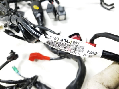 19 - 23 Honda Cbf300 Na Main Engine Wire Harness OEM