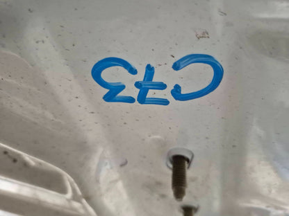 2019 Tesla Model 3 Hood Bonnet Panel OEM