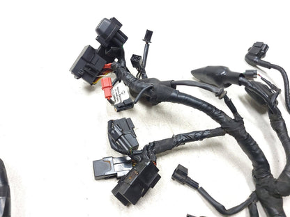 2022 - 2024 Royal Enfield Classic 350 Main Wire Harness OEM