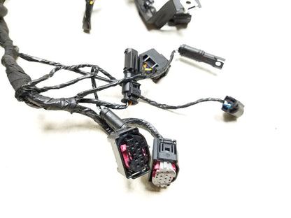 2023 BMW G310r Main Wire Wiring Harness  OEM