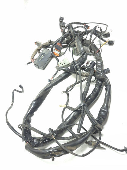2003 Harley-davidson Electra Glide Flht Main Wiring Harness & Fuse Box