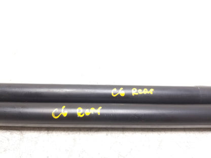 2011 - 2020 Dodge Grand Caravan Trunk Lid Shock Strut Support Pair OEM