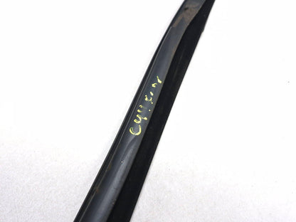 2019 Ford Ecosport Door Weatherstrip Front Driver Side Left OEM