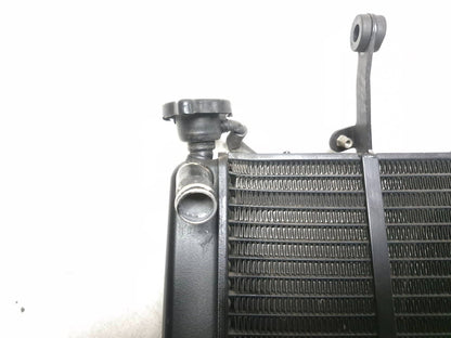 2005  Triumph Sprint St Radiator Cooling OEM