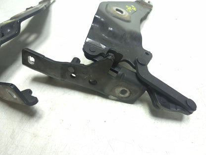 2008 BMW X6 E71 Hood Bonnet Hinge Left & Right OEM