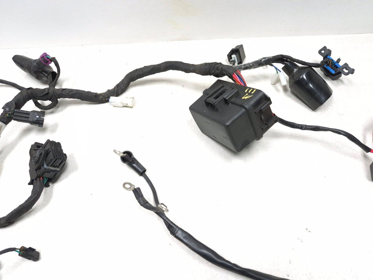 2023 Cf Moto Lifan 300ss Main Wiring Harness OEM