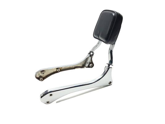 2001 Suzuki Sawage Ls650p Rear Passenger Backrest Assembly OEM