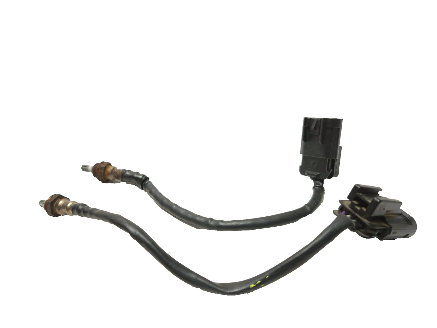 2022 Royal Enfield Int 650 Oxygen Sensor Pair OEM