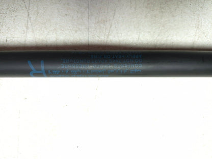 2015 Nissan Juke Trunk Lid Shock Strut Support Pair OEM