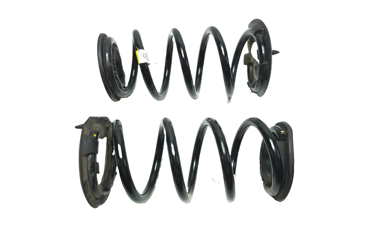 2021 Tesla Model 3 RWD Rear Coil Spring Left & Right OEM
