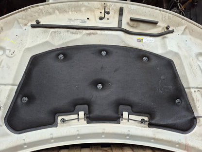 2017 Dodge Journey Hood Bonnet OEM