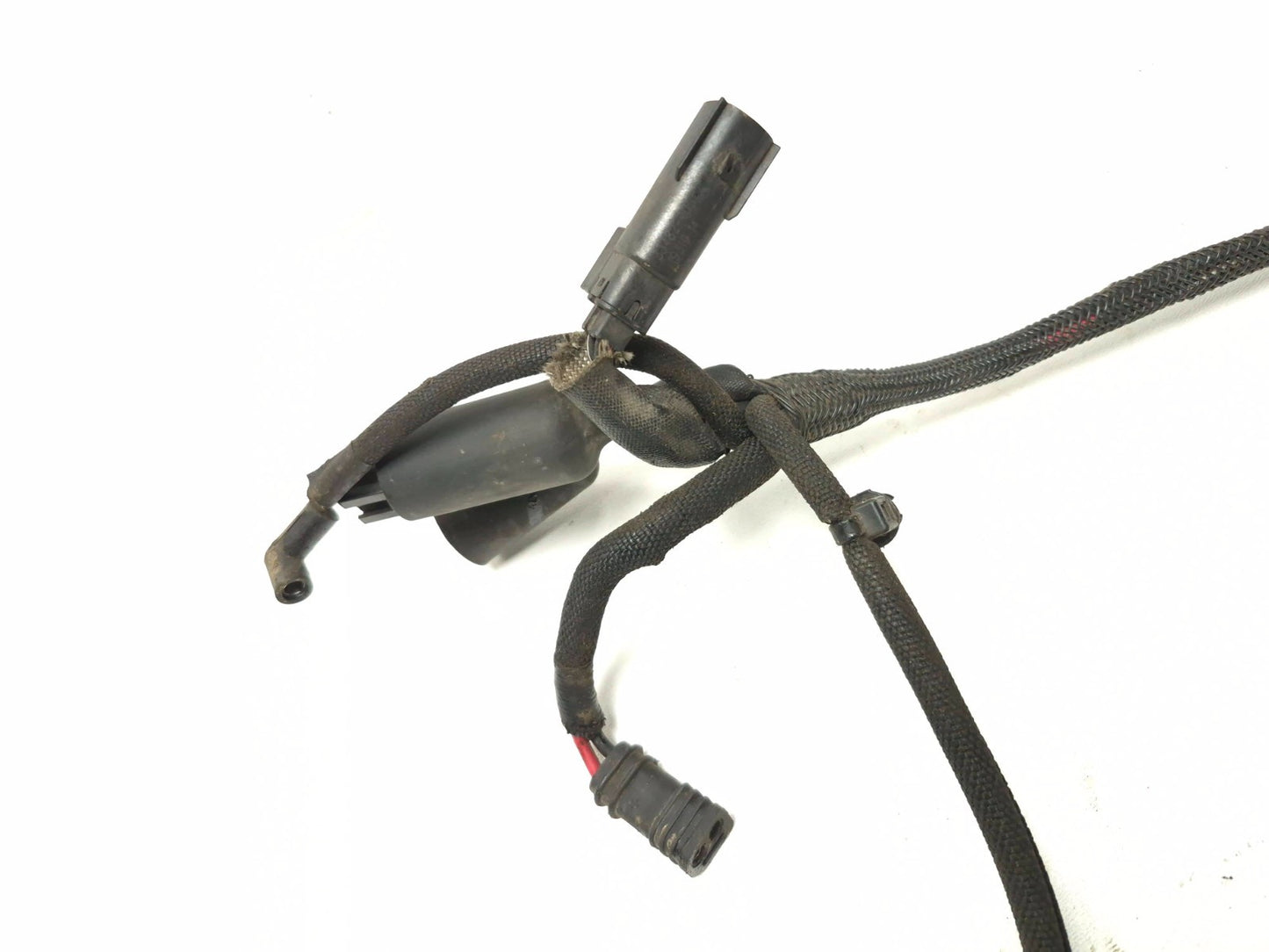 2020 Harley-davidson Sportster Xl1200 Main Wiring Harness Non ABS OEM