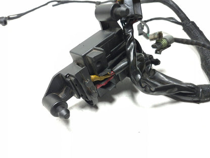 1999 - 2003 Harley Sportster Xl1200 Xl883 Main Wire Harness