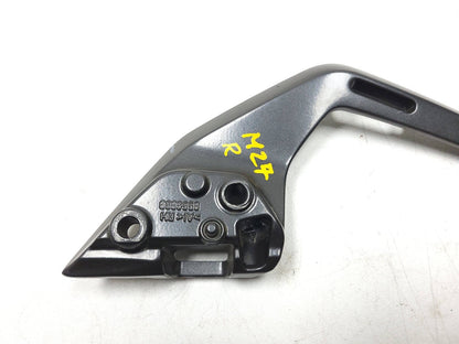 2021 - 2024  BMW G310 R Rear Passenger Grab Rail Left & Right OEM