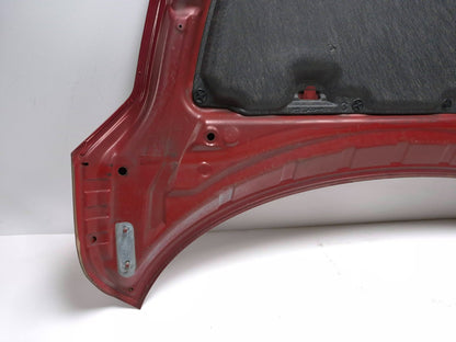 2011 Nissan Juke Hood OEM