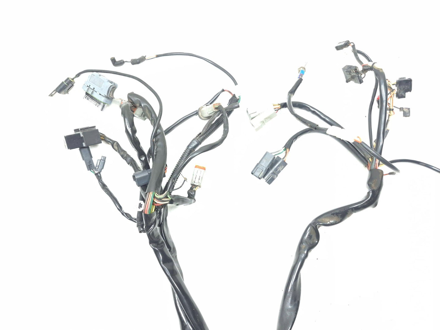2002 Harley Davidson Touring Road King Main Wire Harness OEM