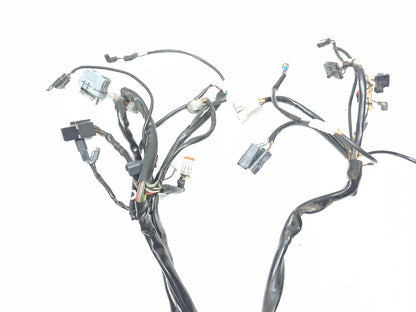 2002 Harley Davidson Touring Road King Main Wire Harness OEM