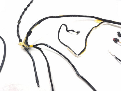 2019 Ford Ecosport Roof Headliner Wire Harness OEM