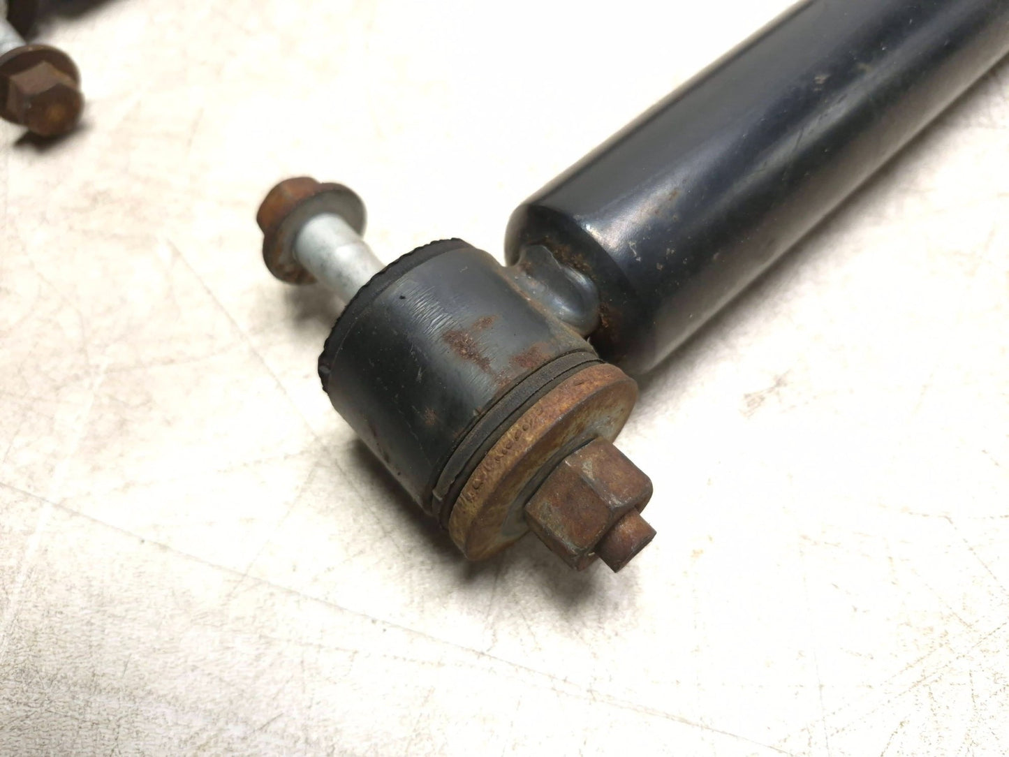 2019 Ford Ecosport Rear Shock Strut Absorber Pair OEM