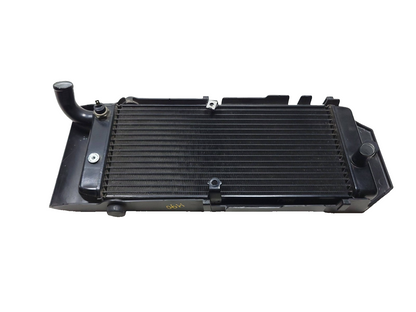 2008 Honda Shadow Aerovt 750ca Cooling Radiator & Radiator Grill Guard Cover OEM