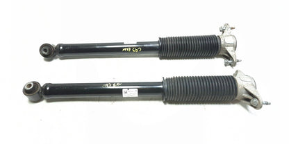 2022 Tesla Model 3 RWD Rear Shock Strut Absorber Left & Right OEM