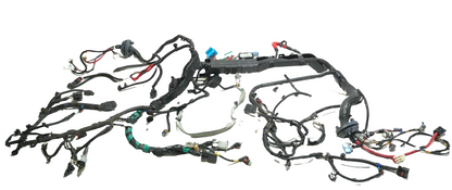 2021 Tesla Model 3 RWD Front Main Body Under Hood Wire Harness 2567964-02-b OEM