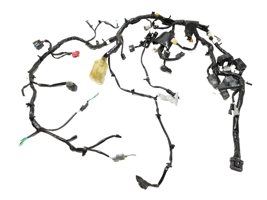 2022 Kawasaki Klr650 Kl650l Main Engine Wiring Harness OEM