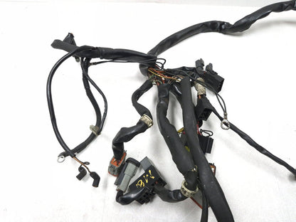 2003 Harley-davidson Fxdl Anniversary Dyna Main Wiring Harness OEM