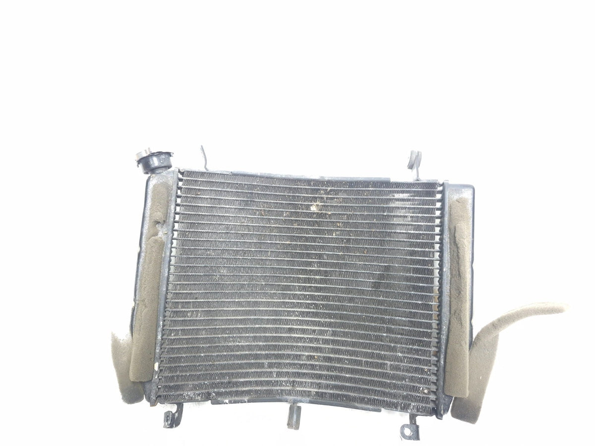 2003 - 2005 Yamaha Yzf R6 Cooling Radiator OEM