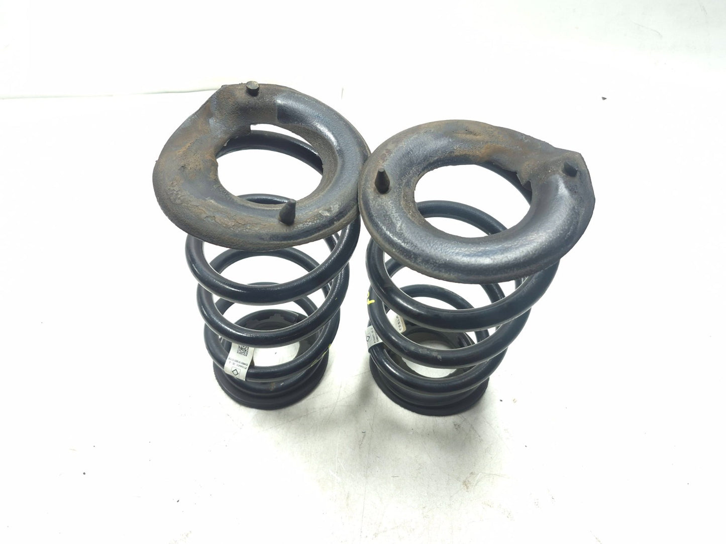 2019 Tesla Model 3 Rear Coil Spring Pair OEM